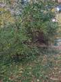 66991 Winding River Road - Photo 4