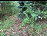  Rossel Lake Road - Photo 1