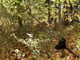  Rossel Lake Road - Photo 42
