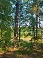 10433 Country Club Drive - Photo 10