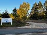 10433 Country Club Drive - Photo 15