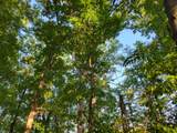 10433 Country Club Drive - Photo 9