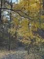 V/L Maple Hill Road - Photo 6