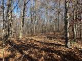 10711 Mystic Heights Trail - Photo 9