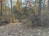 V/L Maple Hill Road - Photo 11