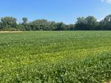  Wilson Road - Photo 4