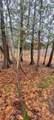 V/L 118A Townline Road - Photo 31