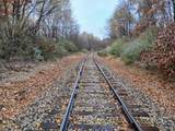  Beyer Road - Photo 8