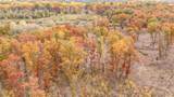 V/L 16 Mile Rd - Photo 11