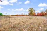 V/L 16 Mile Rd - Photo 13