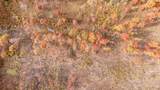 V/L 16 Mile Rd - Photo 23