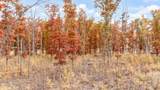V/L 16 Mile Rd - Photo 24