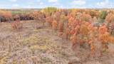 V/L 16 Mile Rd - Photo 25