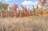 V/L 16 Mile Rd - Photo 7