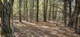 1100 Bard - Photo 14