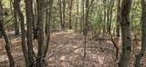 1100 Bard - Photo 15