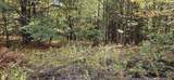 1100 Bard - Photo 21