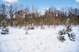 Lot 1,2,3 Garver Lake Road - Photo 28