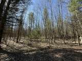 3.75 Acres Wayne Road - Photo 11