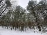 3.75 Acres Wayne Road - Photo 6