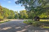 10315 Tombstone Drive - Photo 3