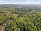 V/L Townline Road - Photo 8