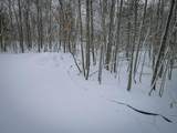 4986 Ridge Road - Photo 19