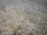 4986 Ridge Road - Photo 43