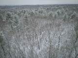V/L Nichols Road - Photo 14