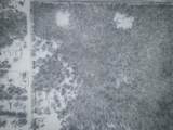 V/L Nichols Road - Photo 16