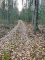 V/L Forest Service 8433/Pomeroy Sp - Photo 17