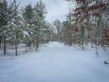 V/L Rybicki Road - Photo 16