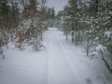 V/L Rybicki Road - Photo 19