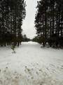14124 Healy Lake Road - Photo 1