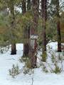 14124 Healy Lake Road - Photo 2