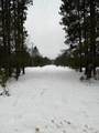 14124 Healy Lake Road - Photo 6