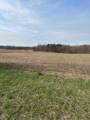  Warren Woods Road - Photo 2