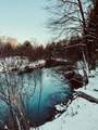 10652 River Road - Photo 14