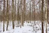  Magruder Road - Photo 9