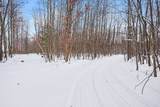 18.9 Acres 176th Avenue - Photo 16