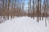 18.9 Acres 176th Avenue - Photo 17