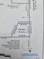  Fenner Road - Photo 4