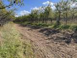 2195 20 Mile Road - Photo 86