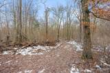 V/L Wood Lake Road - Photo 11