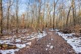 V/L Wood Lake Road - Photo 12