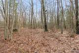 V/L Wood Lake Road - Photo 6