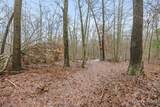 V/L Wood Lake Road - Photo 8