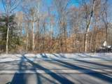 Lot A 142nd Avenue - Photo 4