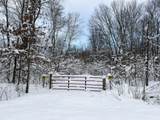 10830 3 Mile Road - Photo 1