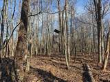10830 3 Mile Road - Photo 10